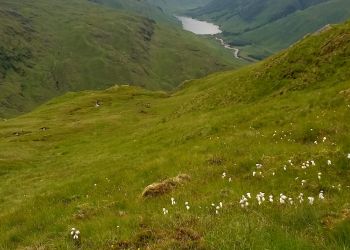 A long day in Glen Elchaig: coming off Carn na Breabaig with Carnan Cruithneachd beyond